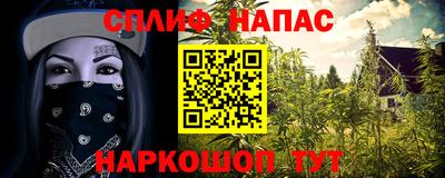 сатива Гатчина