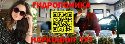 сатива Гатчина