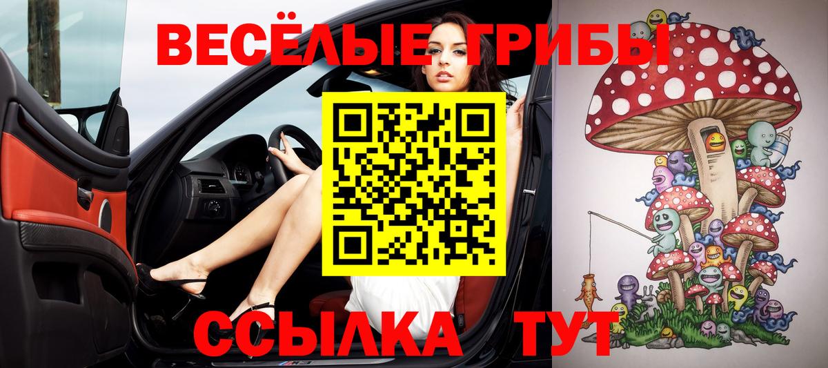 Кимовск  Псилоцибиновые грибы мухоморы  Вход с VPN 