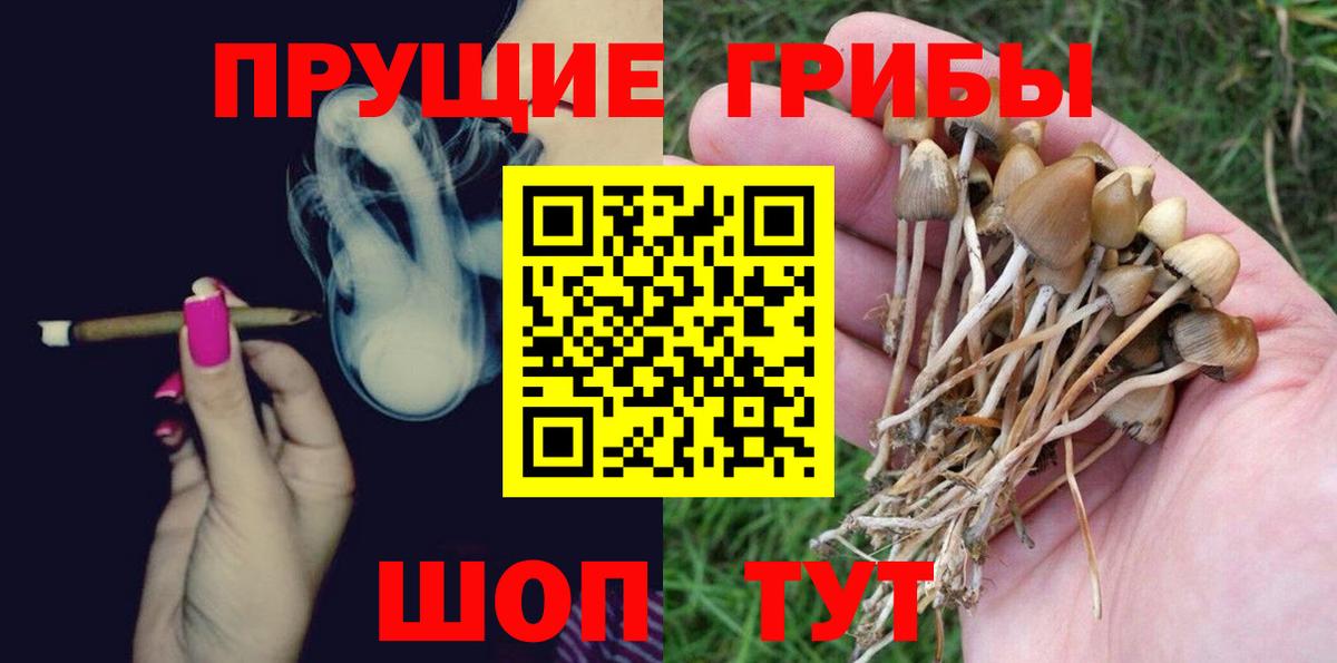 Галлюциногенные грибы Psilocybine cubensis Кимовск